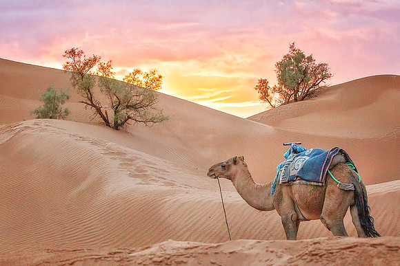 Morocco - 123