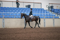 2019 Morgan Horse Show - Sept 01, 2019 - 03650