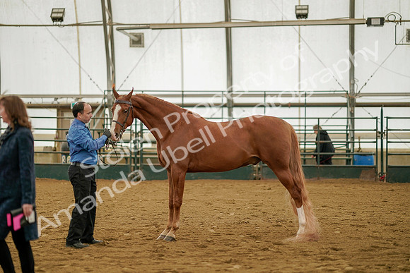 July 19, 2019 - 906