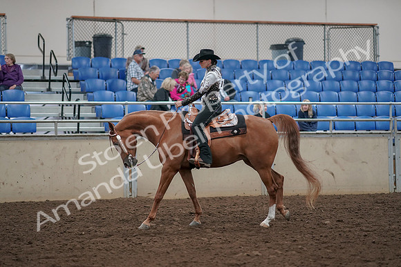 2019 Morgan Horse Show - Aug 30, 2019 - 26098