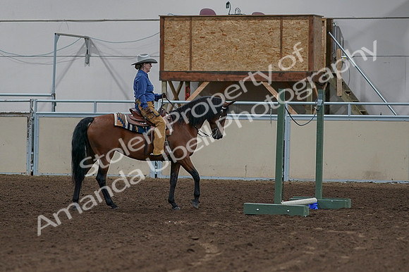 2020 - AB Morgan Horse - Fri, Sept 04 - 00248