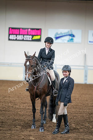 2020 - AB Morgan Horse - Fri, Sept 04 - 02199