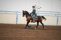 2020 - AB Morgan Horse - Fri, Sept 04 - 03301