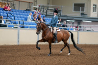 2020 - AB Morgan Horse - Fri, Sept 04 - 03957