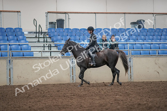 2019 Morgan Horse Show - Aug 31, 2019 - 07183