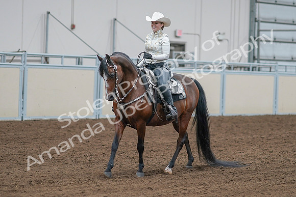 2020 - AB Morgan Horse - Sat, Sept 05 - 09020