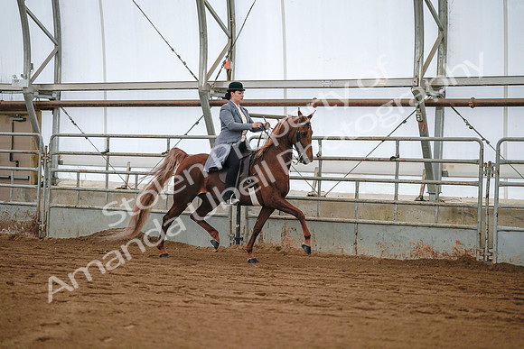 July 20, 2019 - 17104