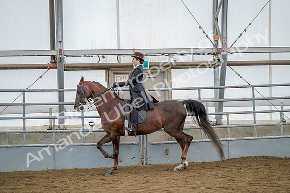 July 20, 2019 - 14388