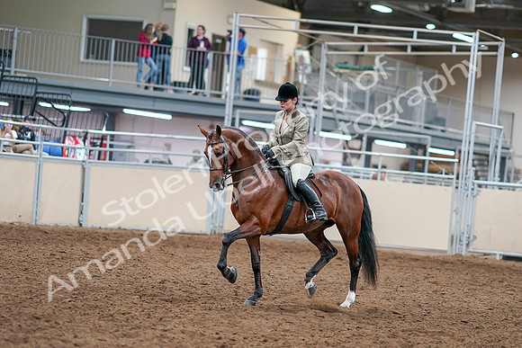 2020 - AB Morgan Horse - Sat, Sept 05 - 14352