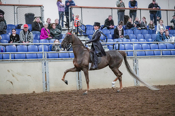 Spring Fling - Saturday - April 20, 2019  -  04095