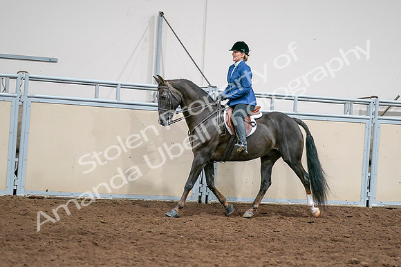 2020 - AB Morgan Horse - Sat, Sept 05 - 04998