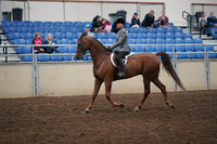 2019 Morgan Horse Show - Aug 31, 2019 - 13778