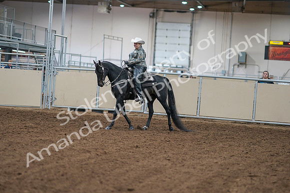 2020 - AB Morgan Horse - Fri, Sept 04 - 03492