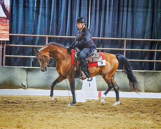 Breeders - 4022