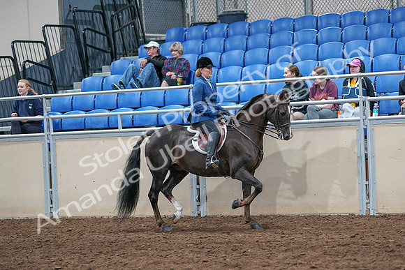 2020 - AB Morgan Horse - Sat, Sept 05 - 05084