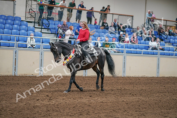 2020 - AB Morgan Horse - Sat, Sept 05 - 10458