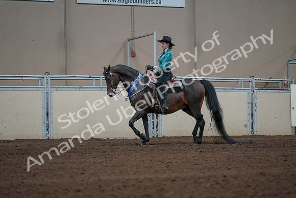 2019 Morgan Horse Show - Sept 01, 2019 - 07300