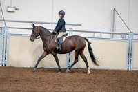 2020 - AB Morgan Horse - Sat, Sept 05 - 04971