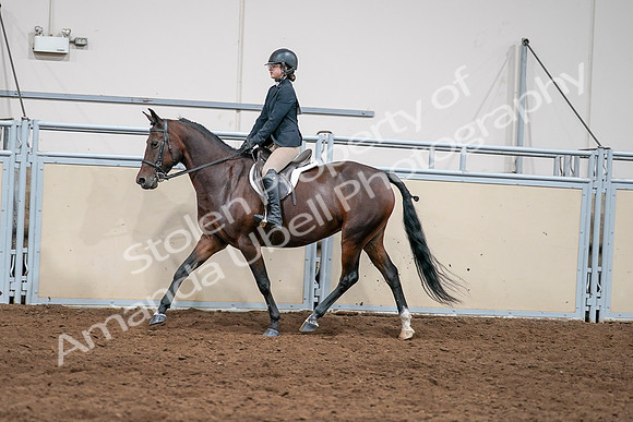 2020 - AB Morgan Horse - Sat, Sept 05 - 04971