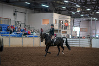 2019 Morgan Horse Show - Aug 30, 2019 - 12123