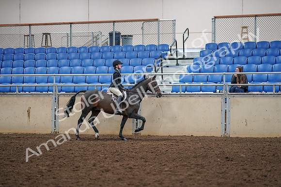 2019 Morgan Horse Show - Aug 30, 2019 - 12423