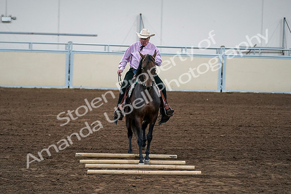 2020 - AB Morgan Horse - Fri, Sept 04 - 00578