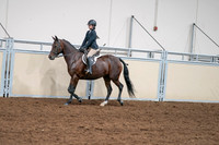 2020 - AB Morgan Horse - Sat, Sept 05 - 04962