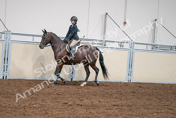 2020 - AB Morgan Horse - Sat, Sept 05 - 04962