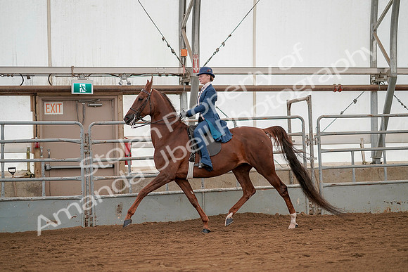 July 20, 2019 - 02124