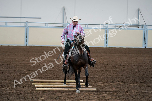 2020 - AB Morgan Horse - Fri, Sept 04 - 00581