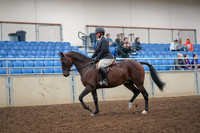 2019 Morgan Horse Show - Aug 30, 2019 - 29221