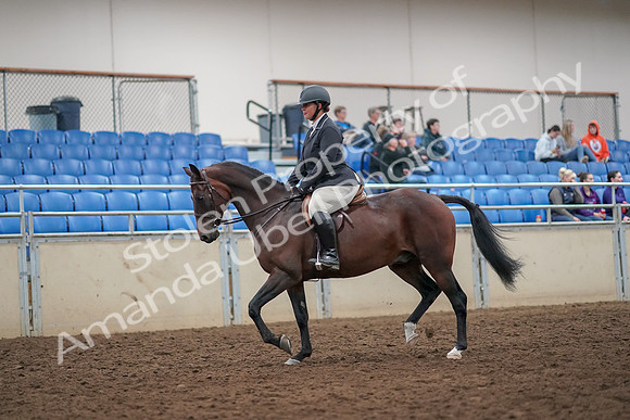2019 Morgan Horse Show - Aug 30, 2019 - 29221