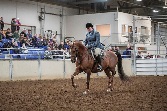 Spring Fling - Saturday - April 20, 2019  -  04534