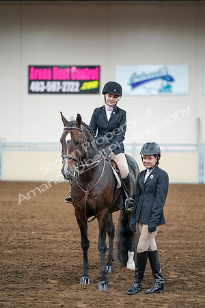 2020 - AB Morgan Horse - Fri, Sept 04 - 02205