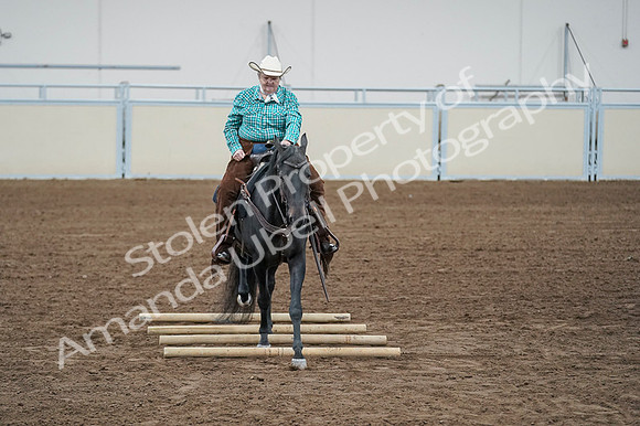 2020 - AB Morgan Horse - Fri, Sept 04 - 00642