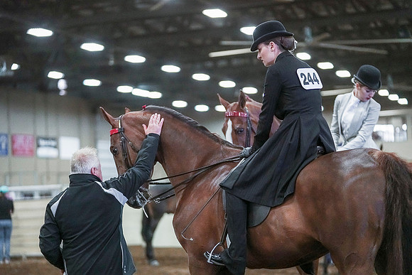 Spring Fling - Saturday - April 20, 2019  -  00367