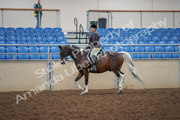 2019 Morgan Horse Show - Aug 30, 2019 - 22239