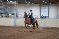 2020 - AB Morgan Horse - Fri, Sept 04 - 06230