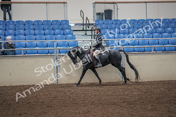 2019 Morgan Horse Show - Aug 31, 2019 - 05061