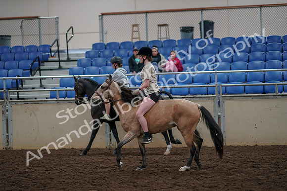 2019 Morgan Horse Show - Aug 30, 2019 - 31242