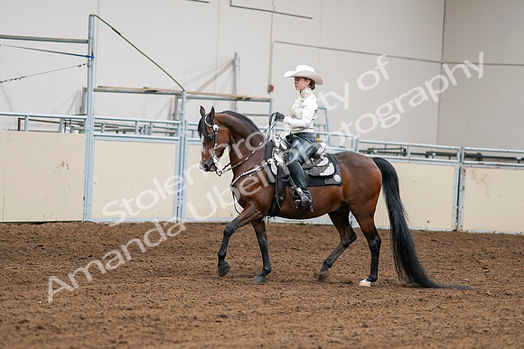 2020 - AB Morgan Horse - Sat, Sept 05 - 08970