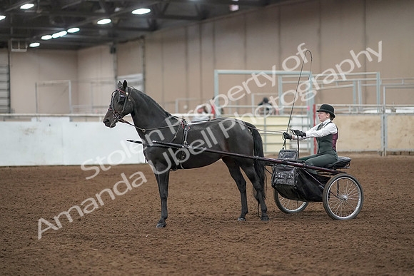 2019 Morgan Horse Show - Aug 31, 2019 - 04767