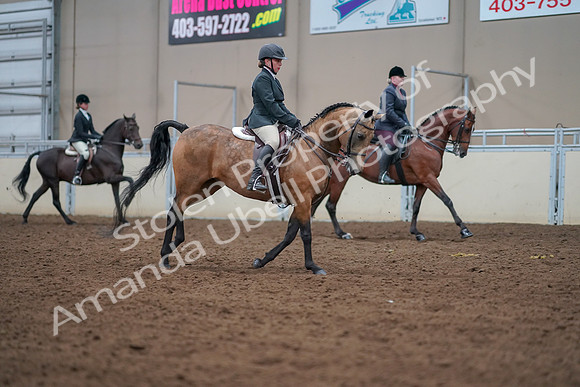 2019 Morgan Horse Show - Aug 30, 2019 - 21054
