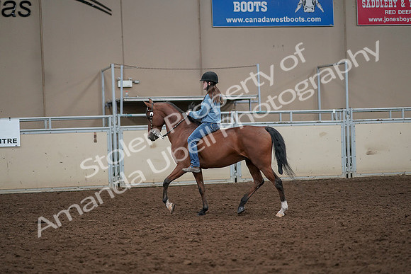 2019 Morgan Horse Show - Aug 30, 2019 - 31179