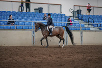 Class 165 - Arabian Hunter PL ATR