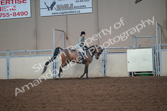 2019 Morgan Horse Show - Aug 30, 2019 - 17602