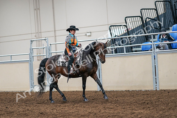 2020 - AB Morgan Horse - Sun, Sept 06 - 07562