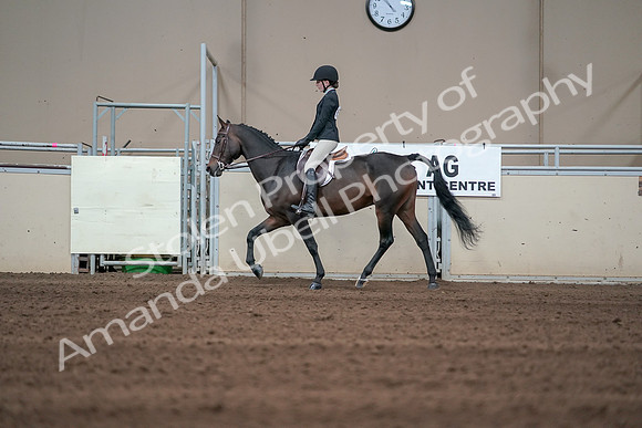 2019 Morgan Horse Show - Sept 01, 2019 - 03690