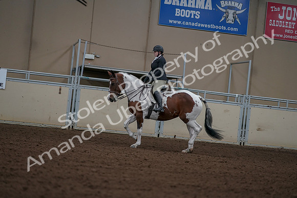 2019 Morgan Horse Show - Aug 30, 2019 - 14897