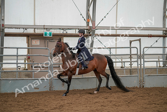 July 20, 2019 - 03608